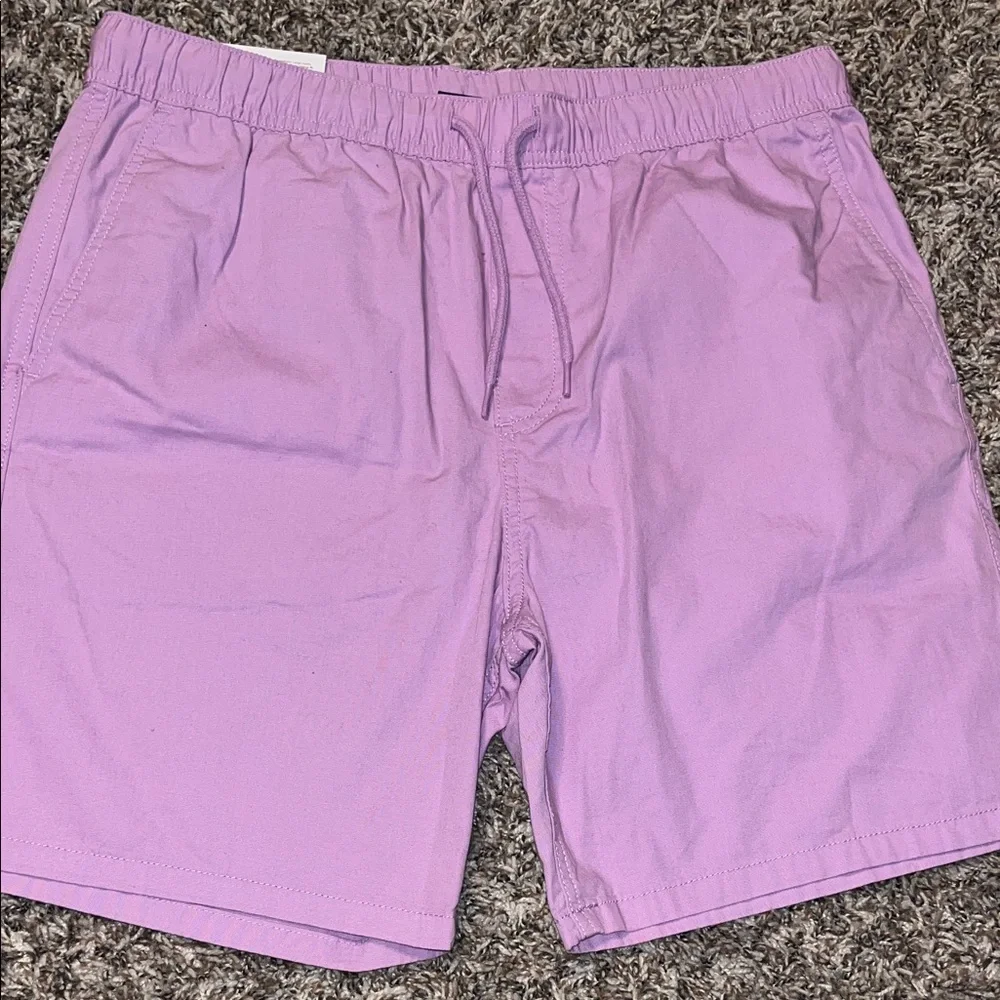 Men’s H&M Lavender Casual Shorts